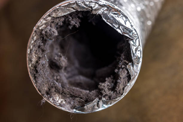 Affordable HVAC Duct Cleaning in Kapaau, HI