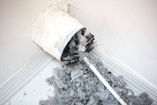 Best Air Duct Sanitizing Services  in Kapaau, HI